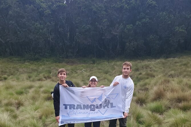 Private Kilimanjaro Day Hike to Marangu Route's Mandara Hut - The 3 to 4 hour climb through Kilimanjaro forest