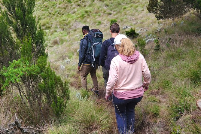 Private Kilimanjaro Day Hike to Marangu Route's Mandara Hut - Maundi Crater and the wider views