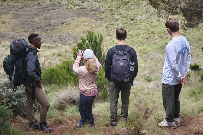 Private Kilimanjaro Day Hike to Marangu Route's Mandara Hut - The 2 to 3 hour descent back to Marangu Gate