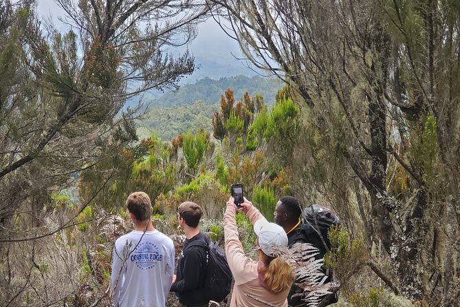 Private Kilimanjaro Day Hike to Marangu Route's Mandara Hut - Marangu Gate and the park registration