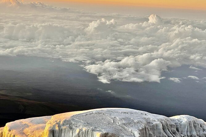 Private Kilimanjaro Hike 7 Day Lemosho Route - Day 1: Lemosho Gate to Big Tree Camp