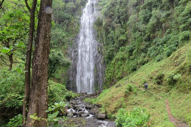 Private Materuni and Chemka Hotspring Tour - Key points at a glance