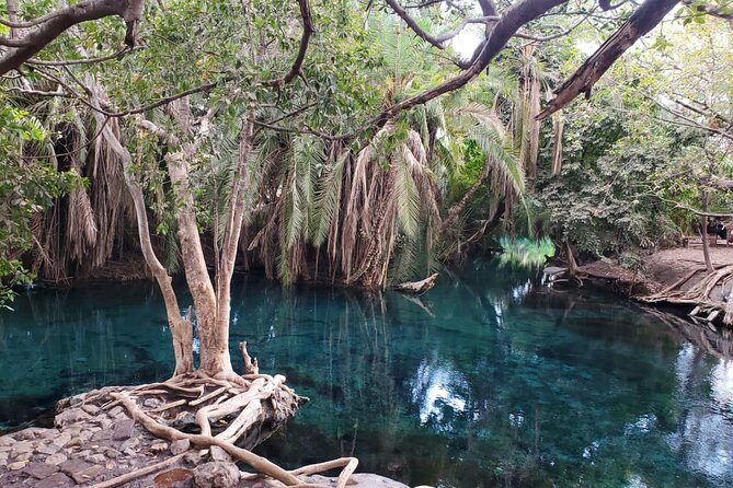 Private Materuni and Chemka Hotspring Tour - Why this Arusha day trip works so well