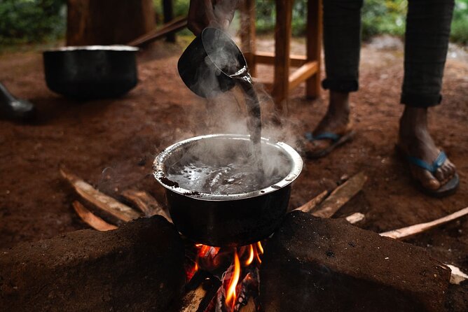 Private Materuni and Chemka Hotspring Tour - What to ask before you leave Arusha