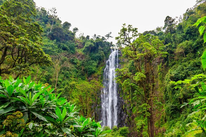 Private Materuni and Chemka Hotspring Tour - Three hours at Chemka Hot Springs