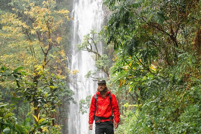 Private Materuni Waterfalls, Coffee Tour and Kikuletwa Hot Spring - The Materuni Waterfalls hike