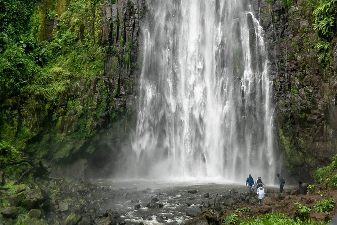 Private Materuni Waterfalls, Coffee Tour and Kikuletwa Hot Spring - The road to Kikuletwa Hot Springs