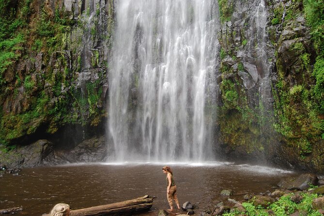 Private Materuni Waterfalls, Coffee Tour and Kikuletwa Hot Spring - What the $128.58 price covers