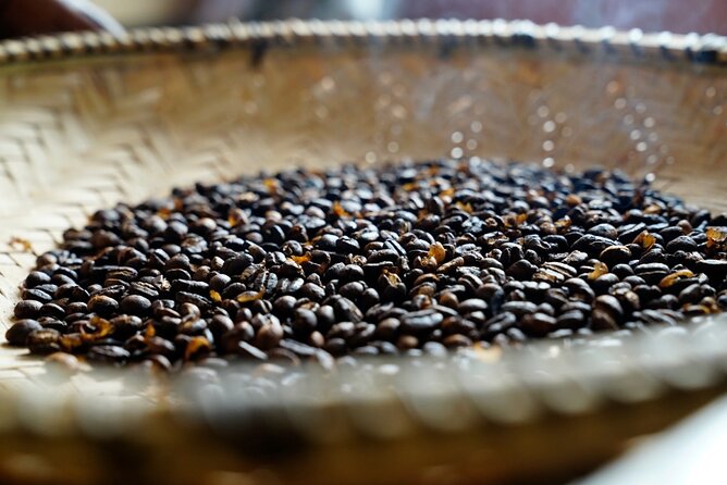 Private Meru Coffee Tour in Nkoaranga - A Coffee Lesson in the Foothills of Mount Meru