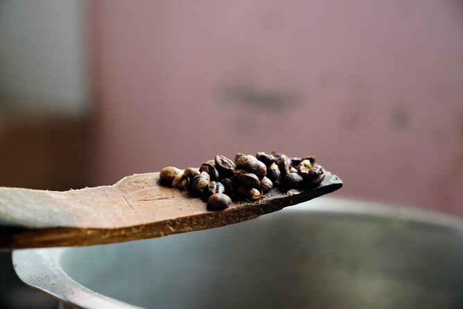 Private Meru Coffee Tour in Nkoaranga - Reuben, Rachel, and the Feel of a Private Visit