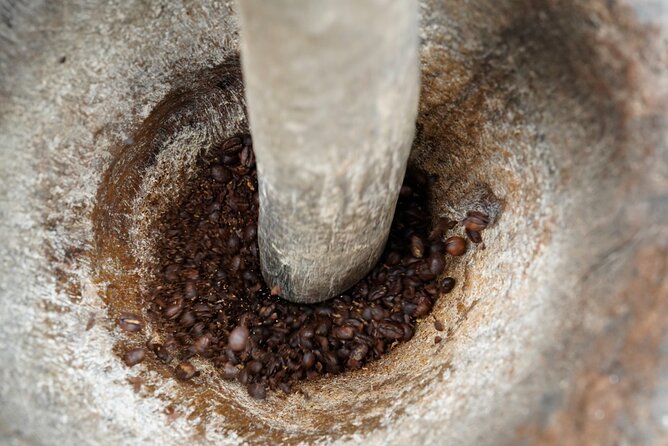 Private Meru Coffee Tour in Nkoaranga - Who Will Enjoy This Most