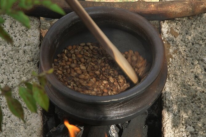 Private Meru Coffee Tour in Nkoaranga - How This Compares With a Standard Coffee Stop