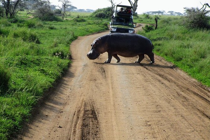 Private Multi-Day Tour in Tanzania Safari - Day 2: Leaving Manyara for the Serengeti