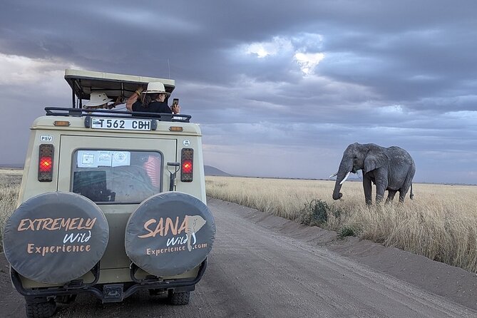 Private Multi Day Tour Tanzania Safari - Four parks in six days, with very little wasted time