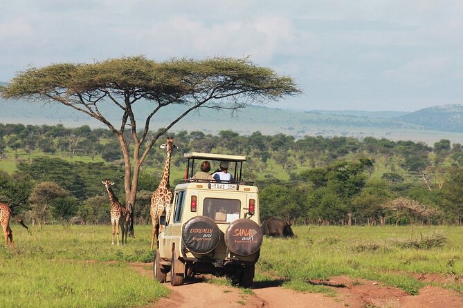 Private Multi Day Tour Tanzania Safari - Day 3: Ngorongoro Crater brings concentrated wildlife