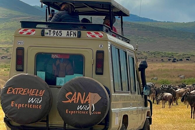 Private Multi Day Tour Tanzania Safari - Day 4: A full Serengeti day is the safari’s strongest stretch