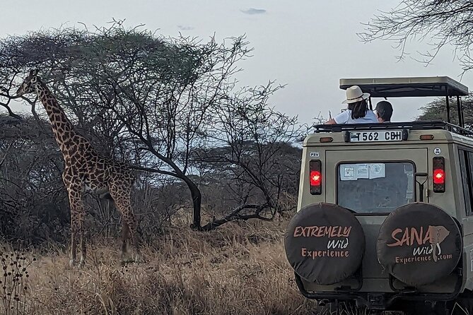 Private Multi Day Tour Tanzania Safari - Day 6: Mto wa Mbu adds a local stop before Arusha