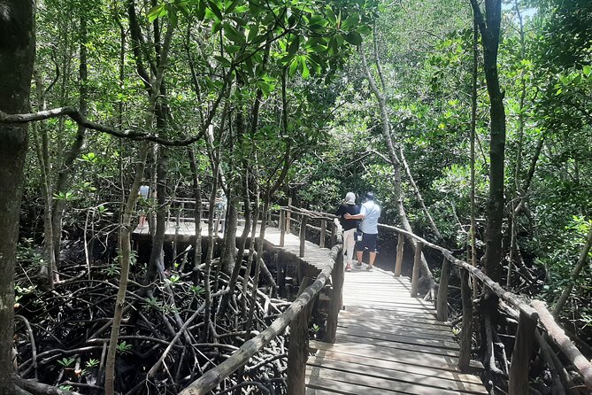 Private Spice Tour and Jozani Forest in Zanzibar - Key points to know before booking