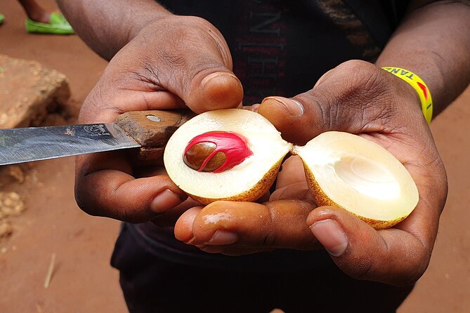 Private Spice Tour in Zanzibar with Pick Up - Why the private format matters at $81