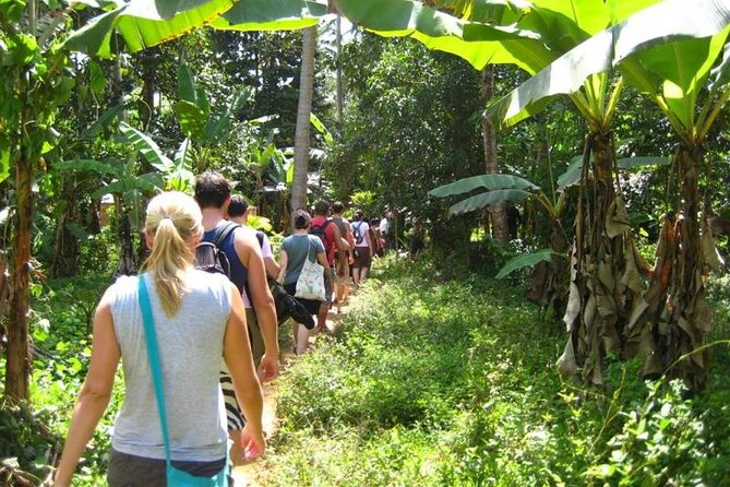 Private Stone Town Half Day Tour - City Market, fresh produce, and the fish auction