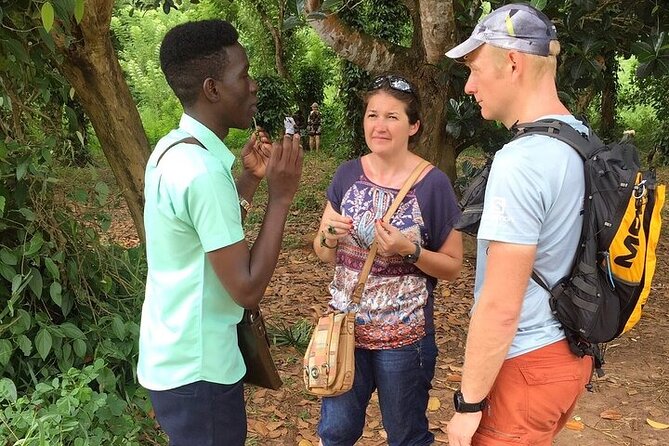 Private Stone Town, Nakupenda Beach and Prison Island Tour - Nakupenda Sand Bank supplies the quiet finish