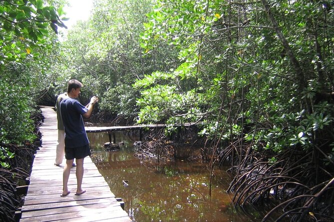 Private Stone Town & Spice Farm Tour - From city streets to Jozani’s forest paths