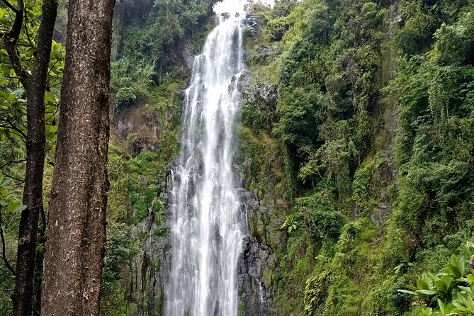 Private Tour to Materuni waterfalls, coffee tour & Kikuletwa hot- springs - Practical Planning for the Day
