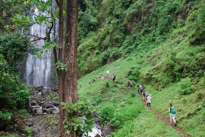 Private Tour to Materuni Waterfalls, coffee tour, Kikuletwa Hot Springs & Maasai - Key points to know before booking