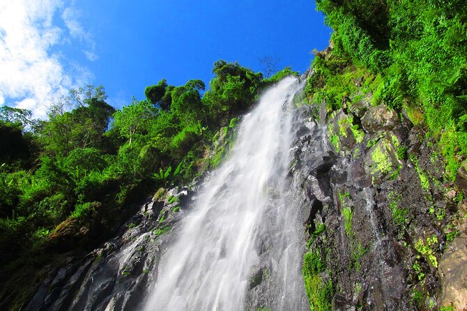 Private Tour to Materuni Waterfalls, coffee tour, Kikuletwa Hot Springs & Maasai - A full day from Kilimanjaro Airport to Materuni
