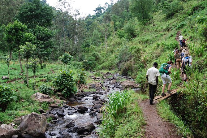 Private Tour to Materuni Waterfalls, coffee tour, Kikuletwa Hot Springs & Maasai - Meeting Maasai families at a local boma