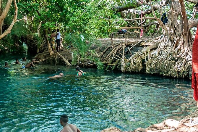 Private Tour to Materuni Waterfalls, coffee tour, Kikuletwa Hot Springs & Maasai - Why the private format matters