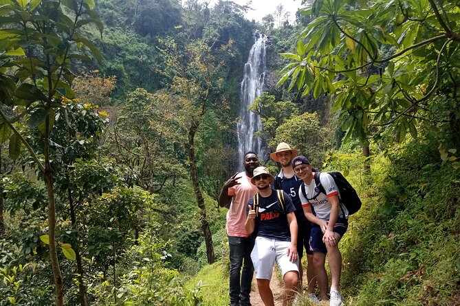 Private Tour to Materuni waterfalls, coffee tour & Kikuletwa hot- springs - The 7:30 am pickup and the road north