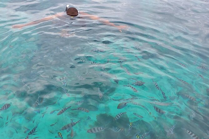 Private Tour to Mnemba Island with Lunch - What the Private Setup Really Means