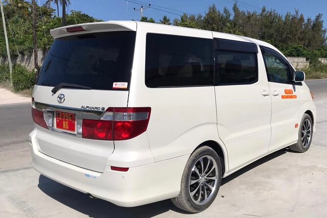 Private Transfer from Abeid Amani Karume Airport to Zanzibar - What the ride does not include