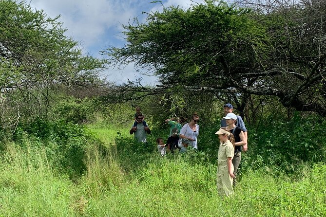 Private Walking Tour with Giraffes - The first hour: education before the animals