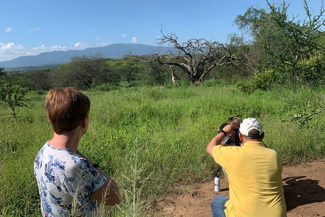Private Walking Tour with Giraffes - Morning or afternoon: which should you choose?