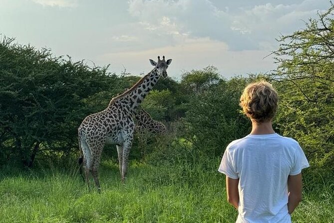 Private Walking Tour with Giraffes - The walking portion: close, calm, and guided