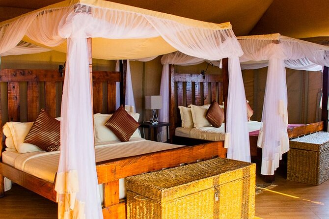 PRIVATE Wildebeest Calving Safari, Tanzania, January to March - Day 1: Kilimanjaro Airport and a night in Moshi