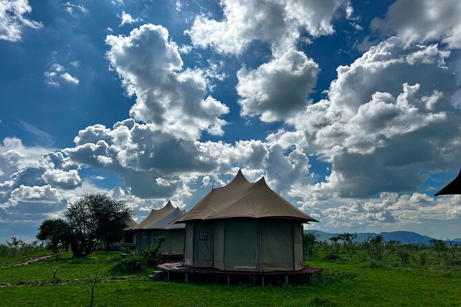 PRIVATE Wildebeest Calving Safari, Tanzania, January to March - Day 8: Moshi and the airport transfer