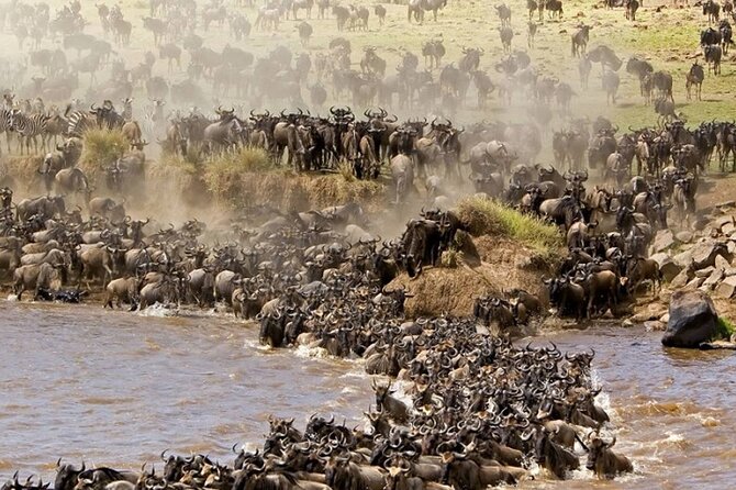 PRIVATE Wildebeest Calving Safari, Tanzania, January to March - Day 2: Lake Manyara’s forest, lake, and escarpment