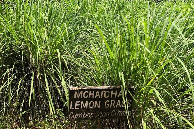 Private Zanzibar Spice Farm Tour - What happens at Jambo Spice Farm