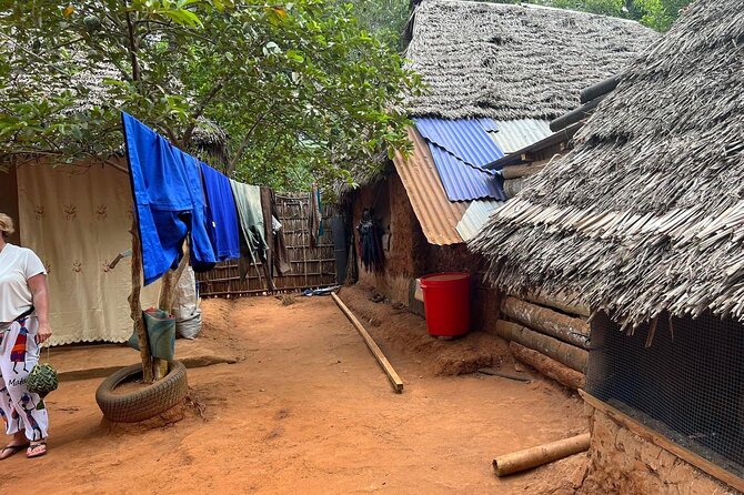 Private Zanzibar Spice Farm Tour - Village houses and the everyday side of Zanzibar