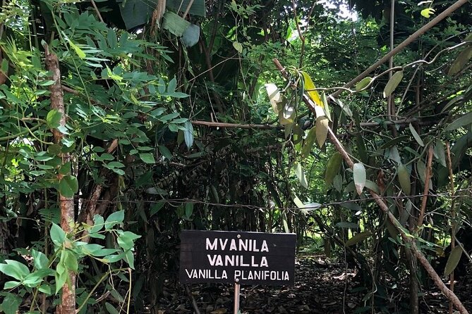 Private Zanzibar Spice Farm Tour - How long should you allow?