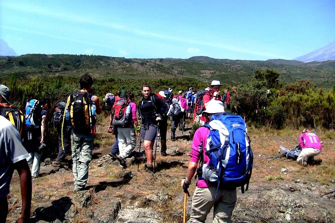 Rongai Route 6 Days 5 Nights/Kilimanjaro climb - Day 1: Nale Moru to the edge of moorland