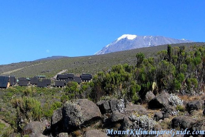 Rongai Route 6 Days 5 Nights/Kilimanjaro climb - Day 5: Gilman’s Point, Uhuru Peak, and the long descent