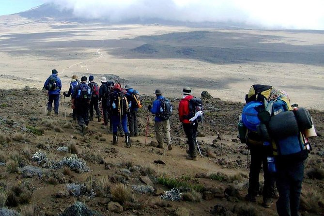 Rongai Route 6 Days 5 Nights/Kilimanjaro climb - Day 6: Through forest to Marangu Gate