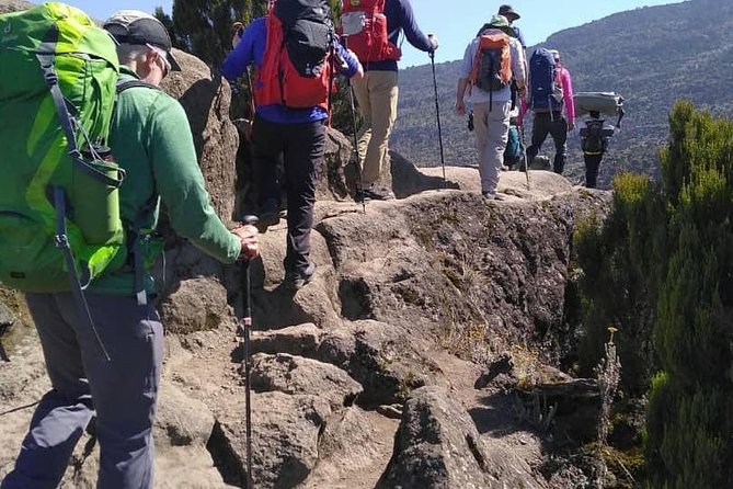 Rongai Route 7 Days - Day six: Kibo Hut to Uhuru Peak and Horombo Hut