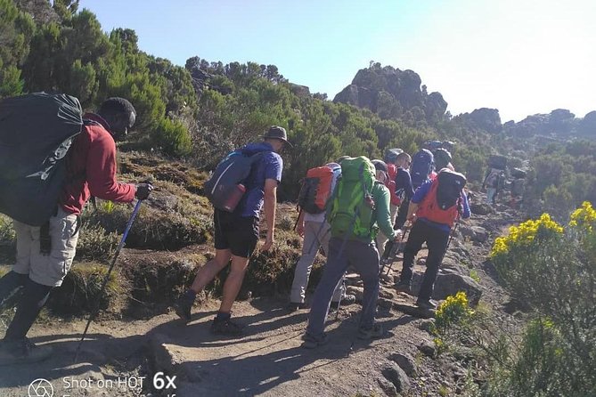 Rongai Route 7 Days - Day seven: Horombo Hut to Marangu Gate