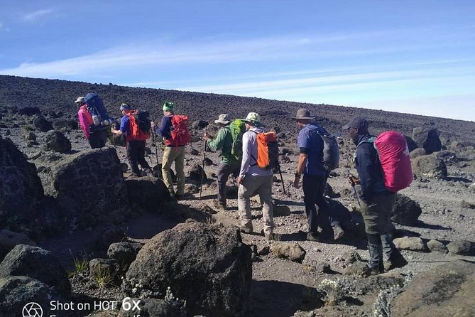 Rongai Route 7 Days - Day two: Simba Camp to Second Cave Camp