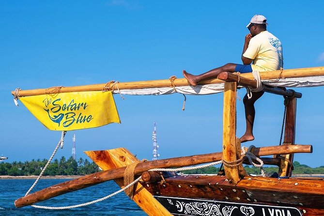 Safari Blue Private Full-Day Tour - Key points at a glance
